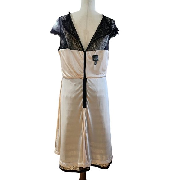 Adrianna Papell Lace Cocktail Midi Dress With Sheer Neck And Hem In Black Size L - Picture 6 of 14